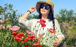 趴桌子打扑克的视频原声